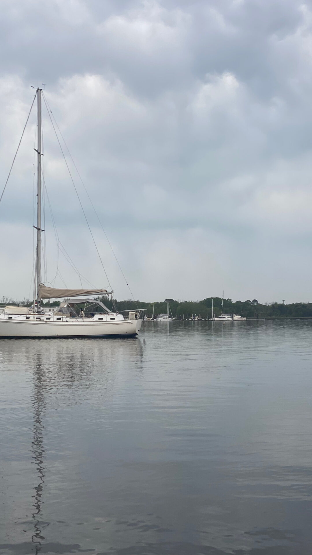 View this image full-size