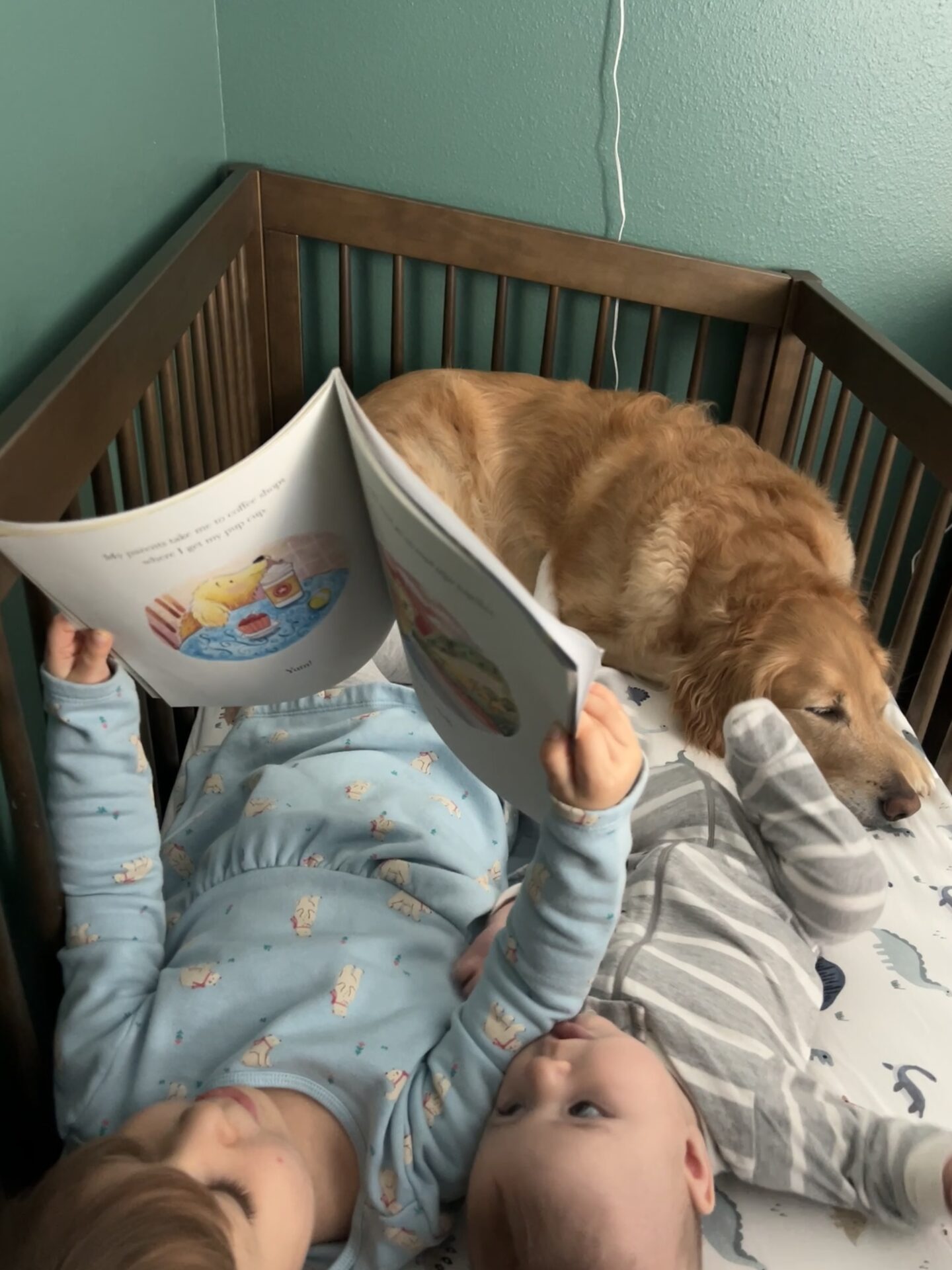 View this image full-size