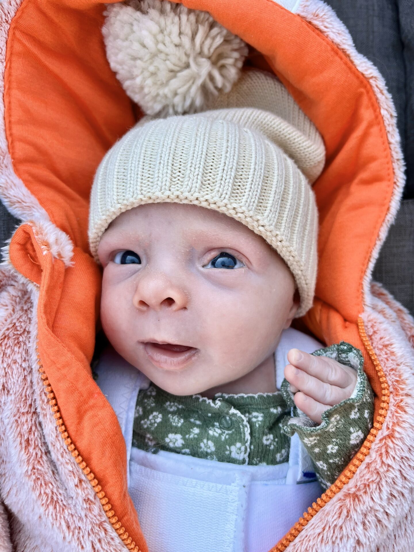 View this image full-size