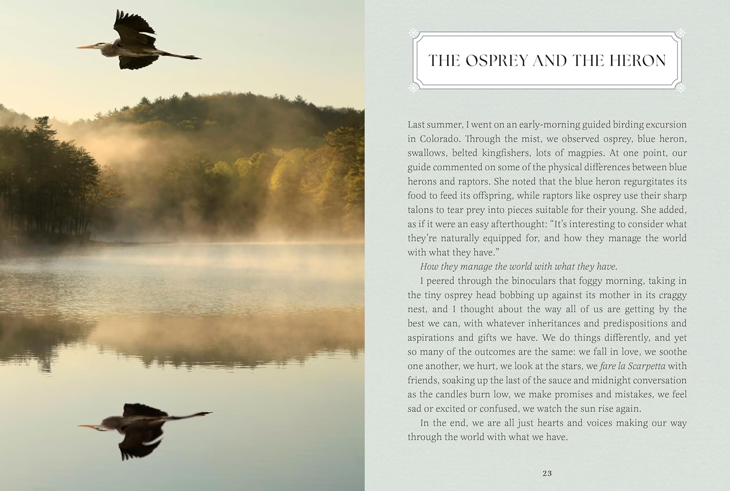 View this image full-size